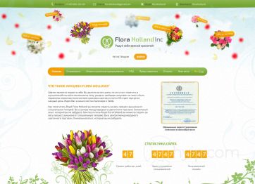 Изображение шаблона FL Holand HYIP проекта