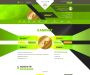 Изображение шаблона Zillion HYIP проекта