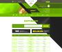 Изображение шаблона Zillion HYIP проекта