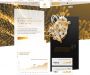 Изображение шаблона aurum HYIP проекта