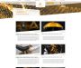 Изображение шаблона aurum HYIP проекта