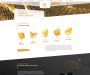 Изображение шаблона aurum HYIP проекта