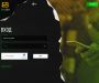Изображение шаблона bettbid HYIP проекта