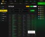 Изображение шаблона bettbid HYIP проекта