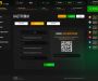 Изображение шаблона bettbid HYIP проекта