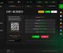 Изображение шаблона bettbid HYIP проекта